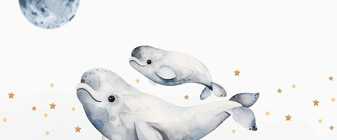 Ballenas beluga