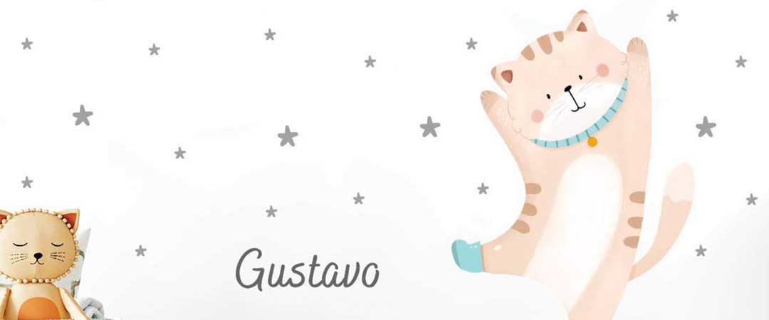 Gatito en skate