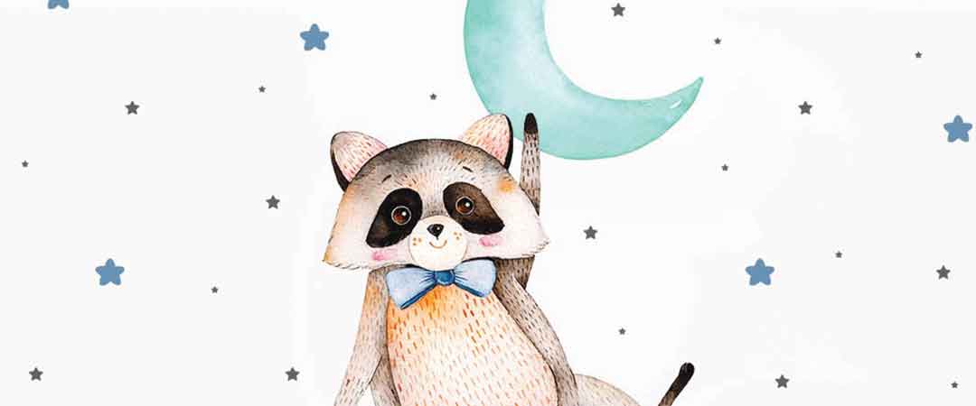 Mapache, luna y estrellas