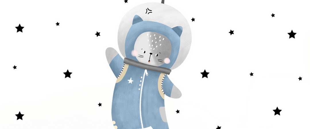 Gatito astronauta