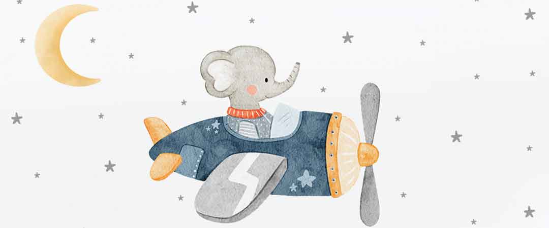 Elefante aviador
