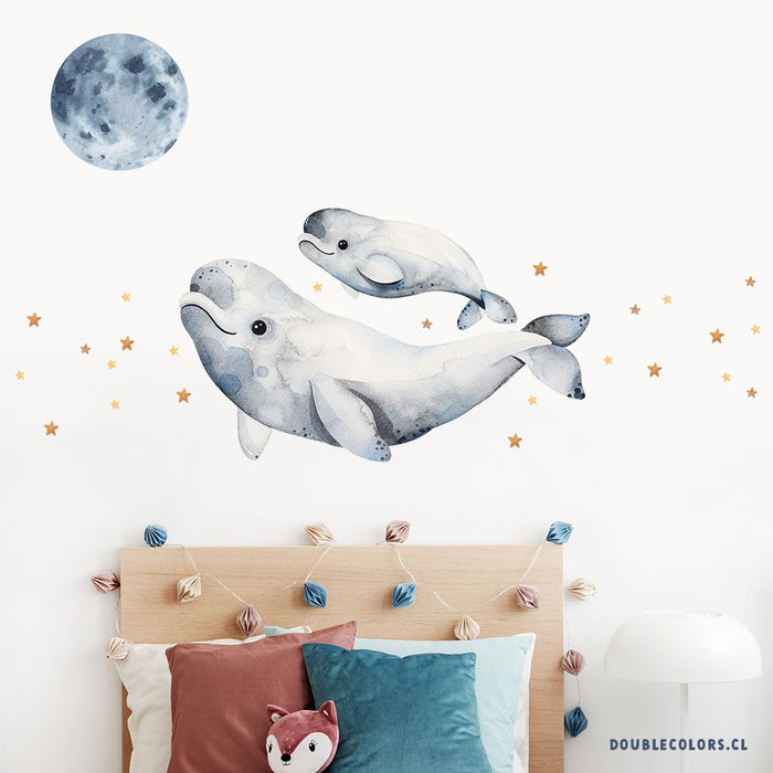 Ballenas belugas