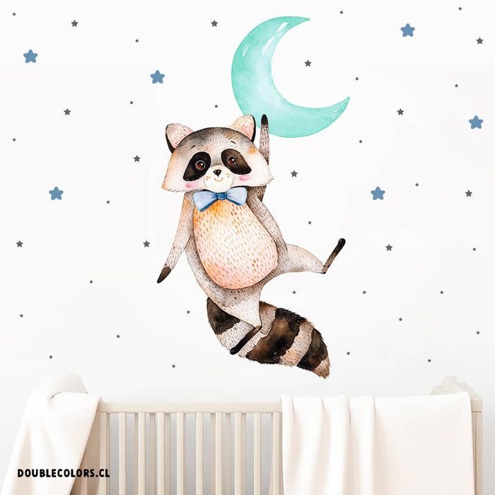Mapache, luna y estrellas