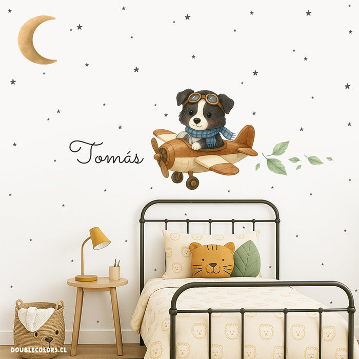 Perrito aviador (Border Collie)
