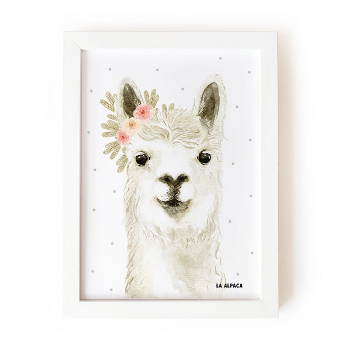 La alpaca