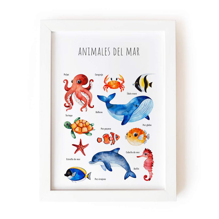 Animales del mar