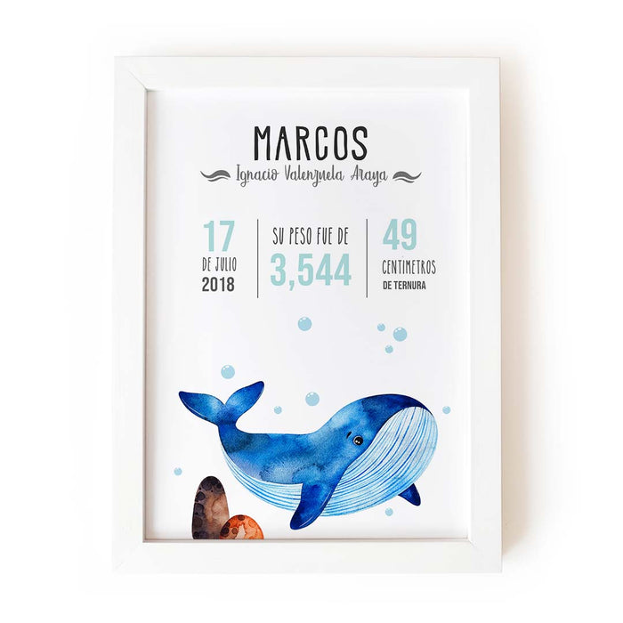 Ballena acuarelas