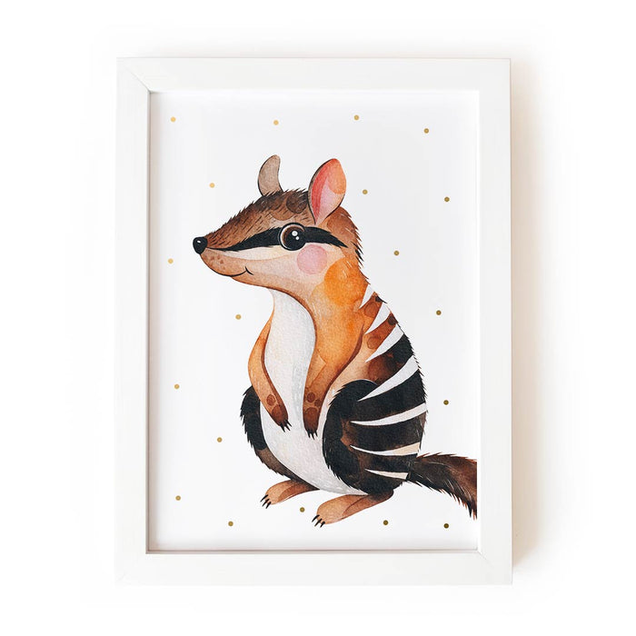 Numbat