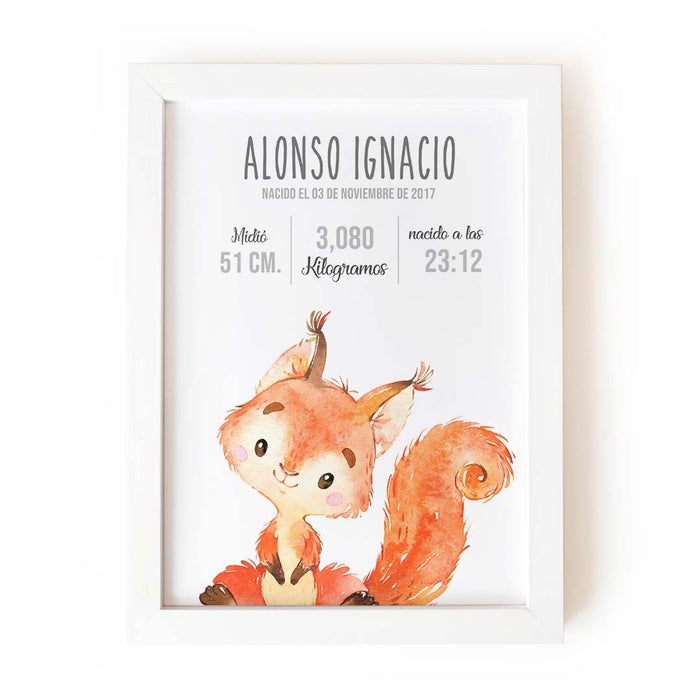 Pequeño zorrito