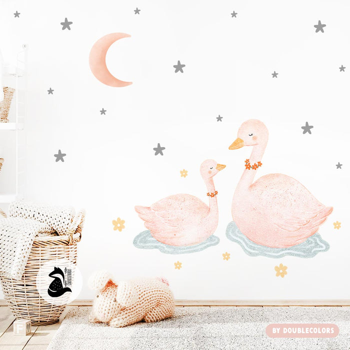 Cisnes