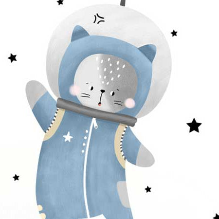 Gatito astronauta