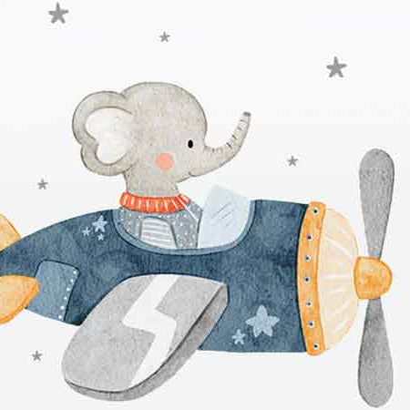 Elefante aviador
