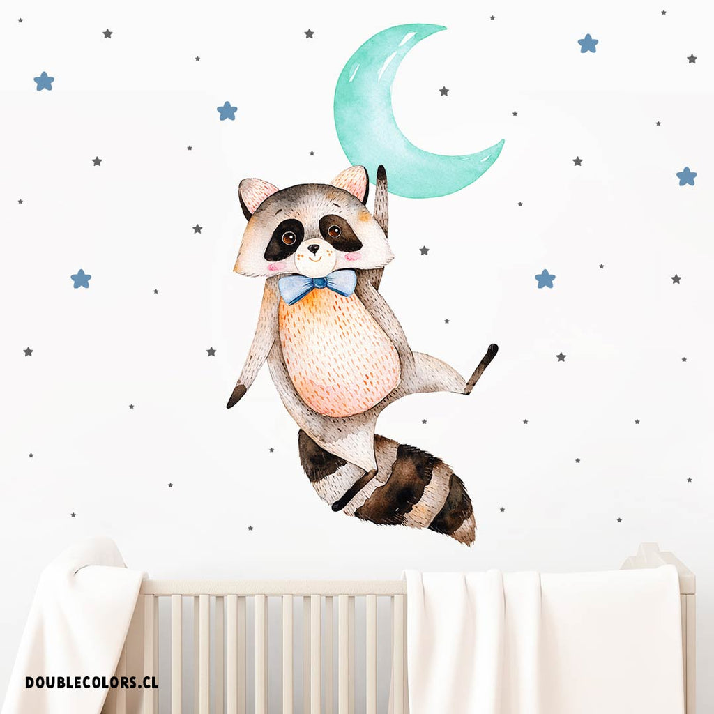 Mapache, luna y estrellas