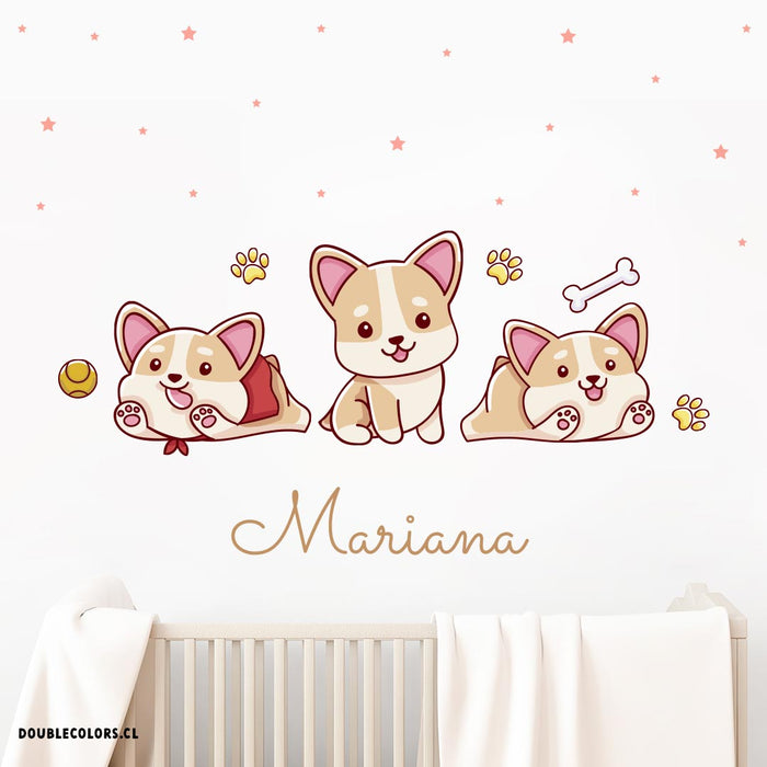 Perritos Corgi y estrellas