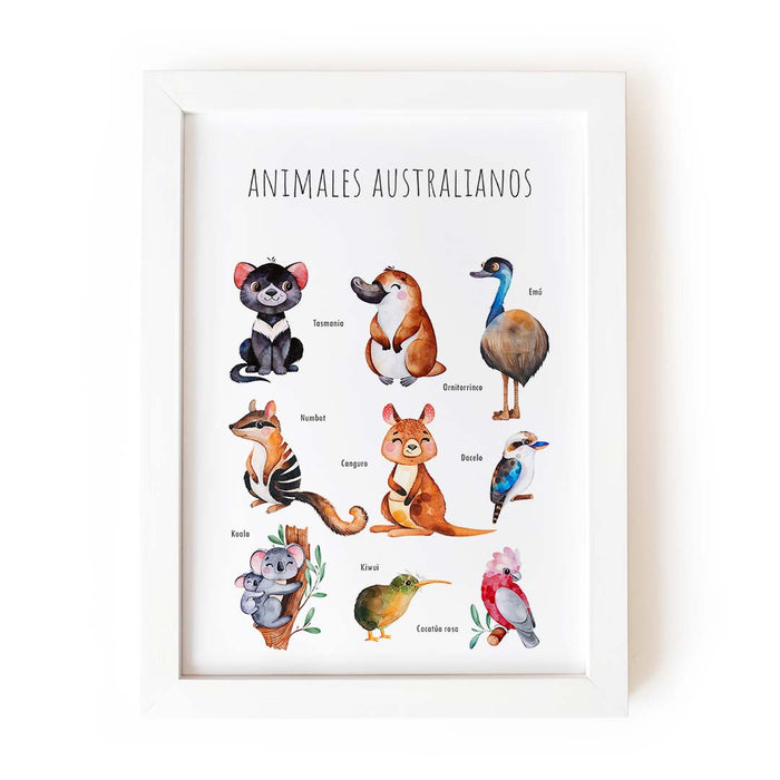 Animales australianos