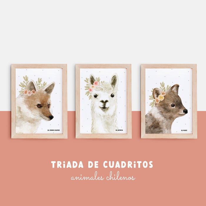 Composición animales chilenos